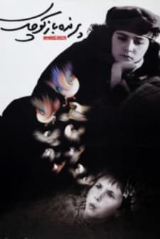 Küçük Kuş (2002) afişi