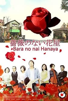 Gülsüz Çiçekçi (2008) afişi