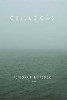 Csillogás (2008) afişi