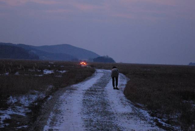 End Of Animal Fotoğrafı