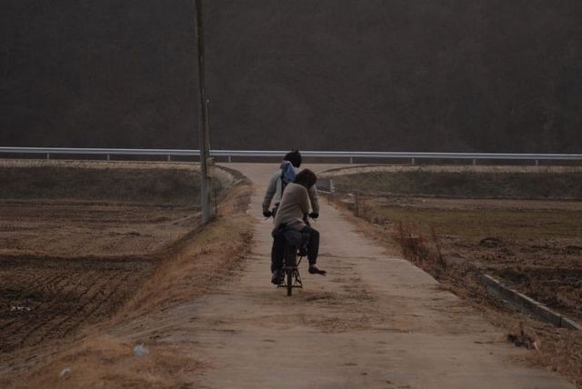 End Of Animal fotoğrafı
