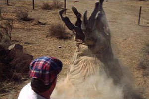 Yeraltı Canavarı 3 Fotoğrafı