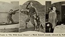 The Wild Goose Chaser (1925) afişi