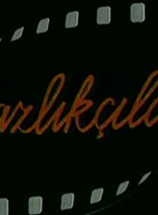 Yazlıkçılar (1993) afişi