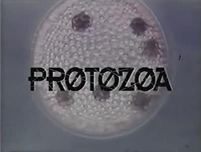 Protozoa (1993) afişi