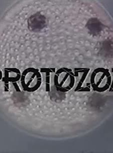 Protozoa (1993) afişi