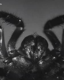 Microscopic Mysteries (1932) afişi