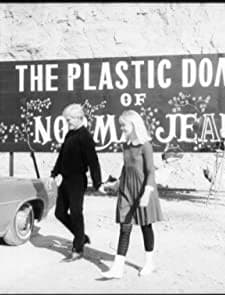 The Plastic Dome Of Norma Jean (1966) afişi