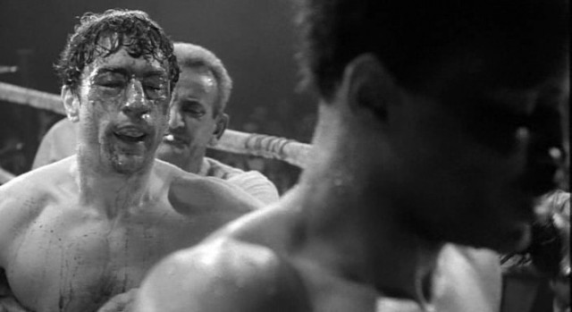 Kızgın Boğa Fotoğrafı