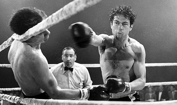 Kızgın Boğa Fotoğrafı