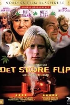 Det Store Flip (1997) afişi