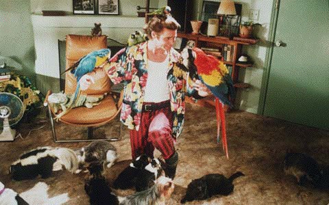 Budala Dedektif Fotoğrafı