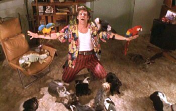 Budala Dedektif fotoğrafı