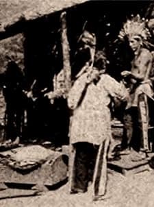 From The Shadows (1913) afişi