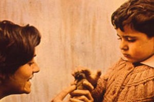 Uçurtmayı Vurmasınlar Fotoğrafı