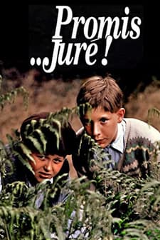 Promis... Juré! (1987) afişi