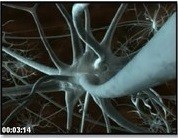 Muhteşem Makina İnsan Vücudu Fotoğrafı