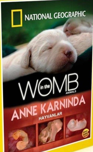 Anne Karnında Hayvanlar afişi