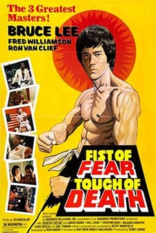 Fist Of Fear, Touch Of Death (1980) afişi