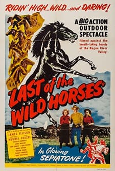 Last Of The Wild Horses (1948) afişi