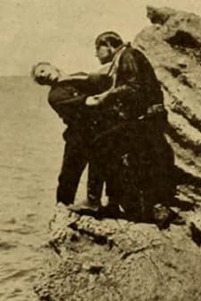 The Ranchman's Vengeance (1911) afişi