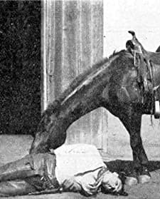 The Ranch Girl (1911) afişi