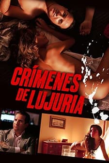 Şehvet Suçları (2011) afişi