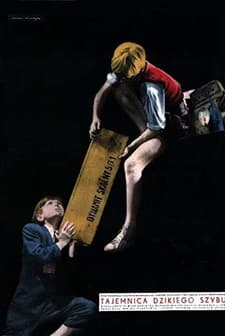 Tajemnica Dzikiego Szybu (1956) afişi