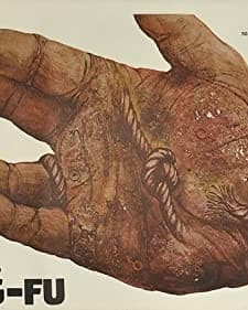 Kung-fu (1979) afişi