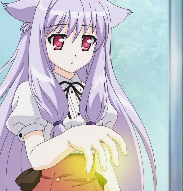 Mayoi Neko Overrun! Fotoğrafı