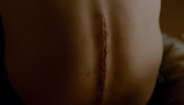 Şansa Bak Fotoğrafı