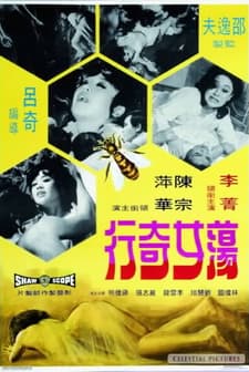 Dang Nu Ji Hang (1973) afişi