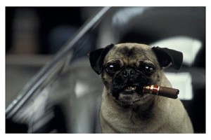 Siyah Giyen Adamlar 2 fotoğrafı