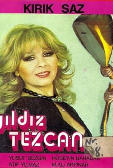 Kırık Saz (1966) afişi