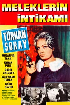 Meleklerin İntikamı (1966) afişi