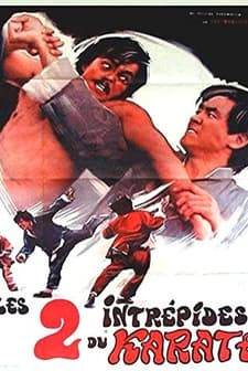 Shuang Long Chu Hai (1973) afişi