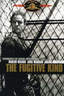 The Fugitive Kind (1959) afişi