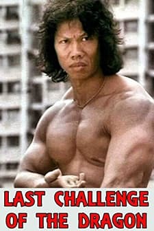 Long Jia Jiang (1976) afişi