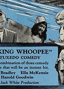 Making Whoopee (1928) afişi