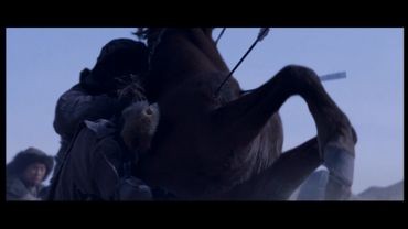 Mulan Savaşçı Prenses Fotoğrafı