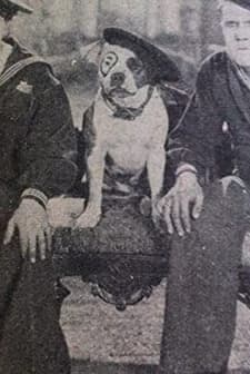 Hello Sailor (1927) afişi