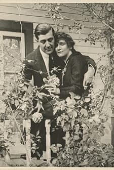 The Flight Of A Night Bird (1915) afişi