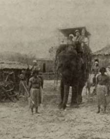 The Ghost Of The Jungle (1916) afişi