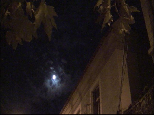 Kırokula Vampir Muğlada fotoğrafı