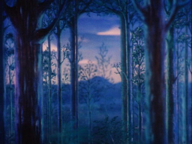 Fantasia Fotoğrafı