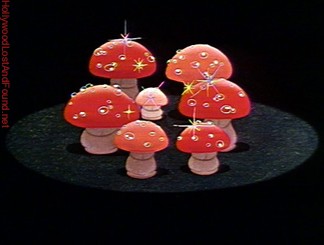 Fantasia Fotoğrafı