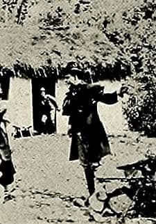 The Banshee (1913) afişi