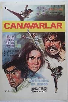 Gan Jin Sha Jue (1973) afişi