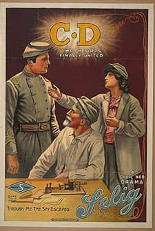'c D' - A Civil War Tale (1914) afişi
