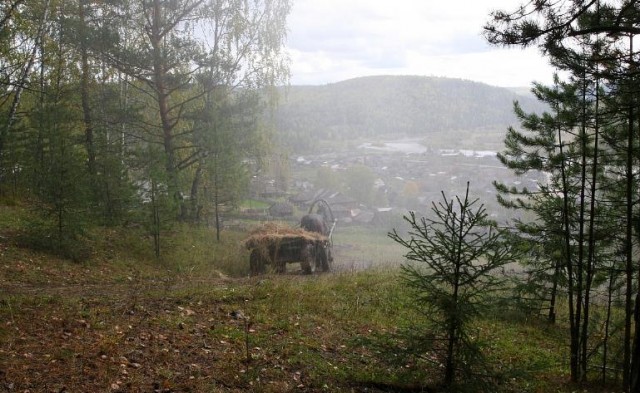 Sibirya Aşkı fotoğrafı